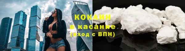дживик Алексин