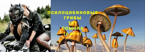 крисы Алексеевка