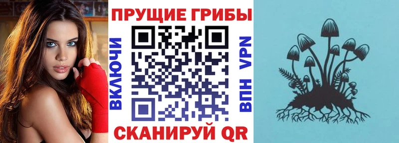 darknet формула  цена   Сергач  Псилоцибиновые грибы Magic Shrooms 